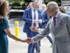 King Charles reacts to cancer patient death