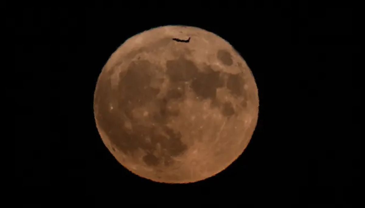 Blue Moon lights up skies THIS weekend—here's everything you must know