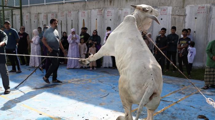 In pictures: From prayers to sacrifice, Muslims worldwide mark Eid ul Adha