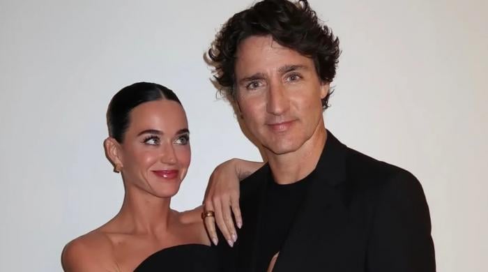 Justin Trudeau pals fear over fast-paced Katy Perry romance