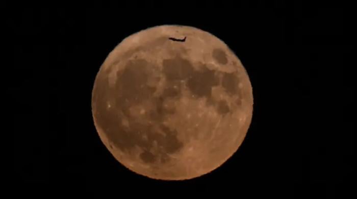 Blue Moon lights up skies THIS weekend—here's everything you must know