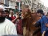 Pakistan marks Eid ul Adha with prayers for peace in Middle East