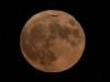 Blue Moon lights up skies THIS weekend—here's everything you must know