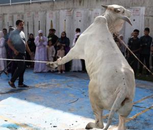 In pictures: From prayers to sacrifice, Muslims worldwide mark Eid ul Adha