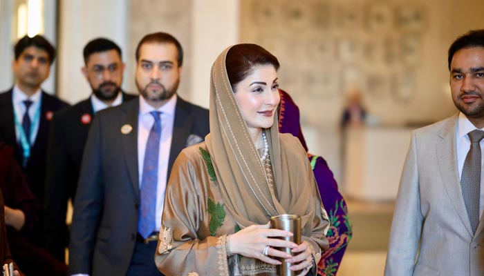 Punjab Chief Minister Maryam Nawaz can be seen in this undated image. — Facebook/@TheMaryamNSharif