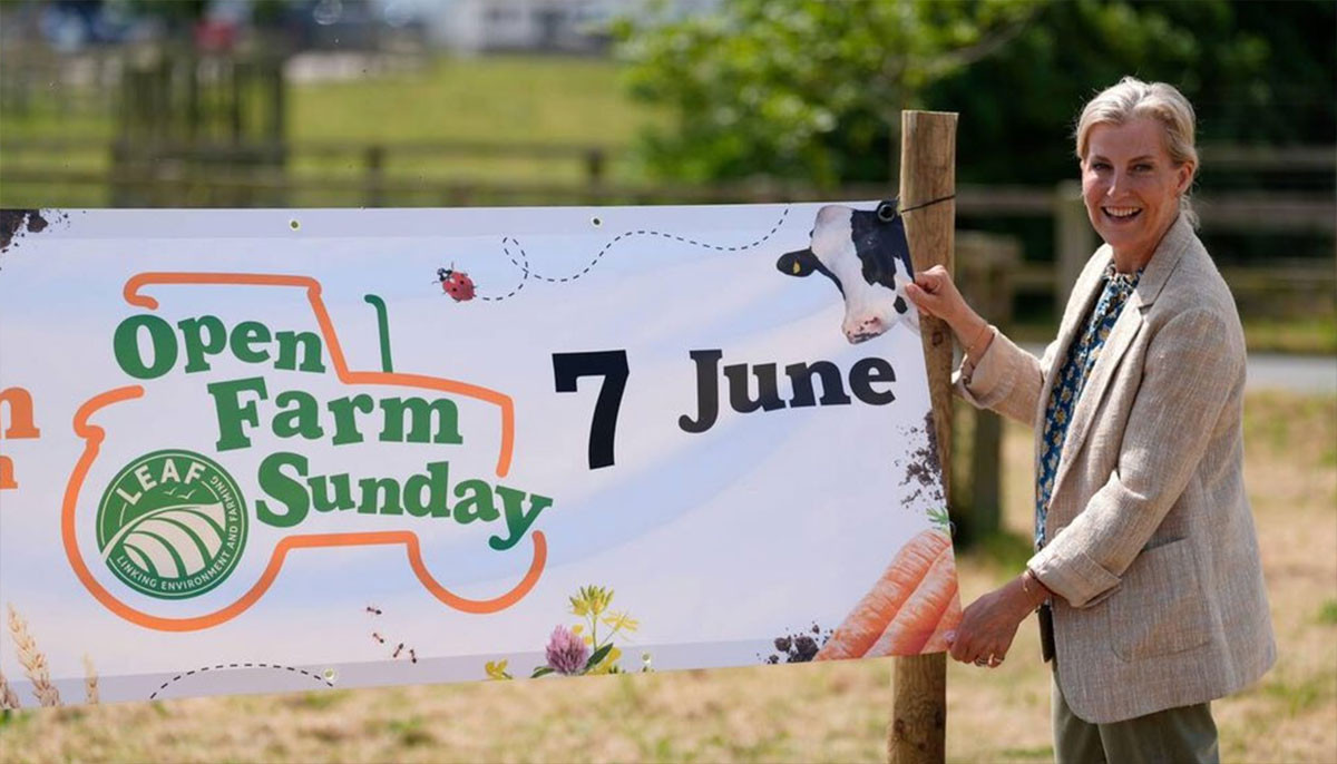 Duchess Sophie goes into 'farmer mode' in Hampshire