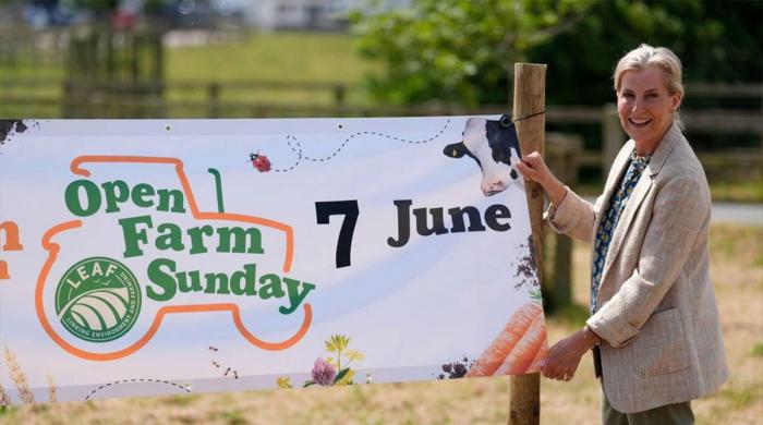 Duchess Sophie goes into 'farmer mode' in Hampshire
