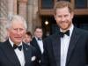Buckingham Palace shares exciting summer plan amid Harry return talks