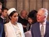 King Charles 'erasing' Prince Harry, Meghan Markle memories