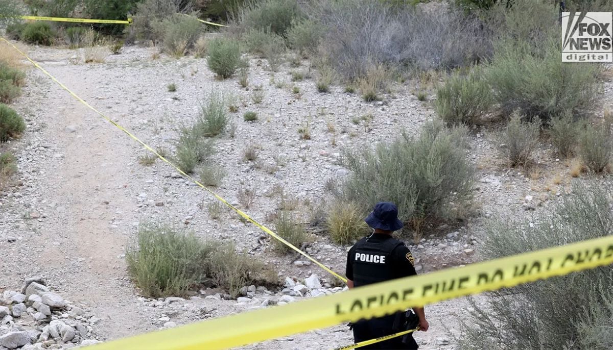 Tucson prehistoric human bones found near Nancy Guthrie site: Here's everything to know