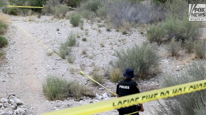 Tucson prehistoric human bones found near Nancy Guthrie site: Here's everything to know
