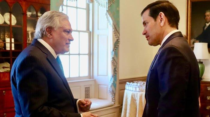 Abraham Accords: DPM Dar reaffirms Pakistan's position on Israel, Palestine