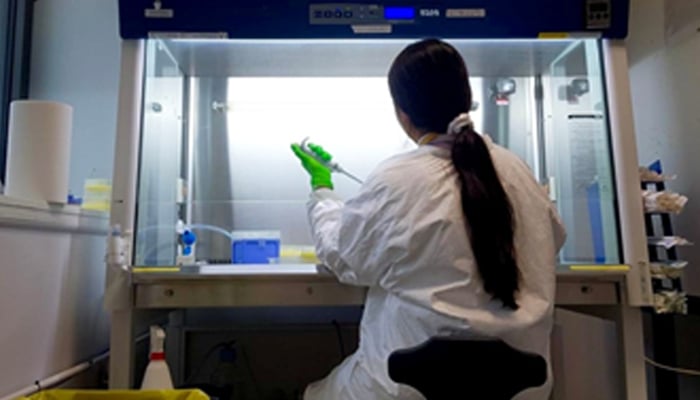 A person working at a laboratory. — Author