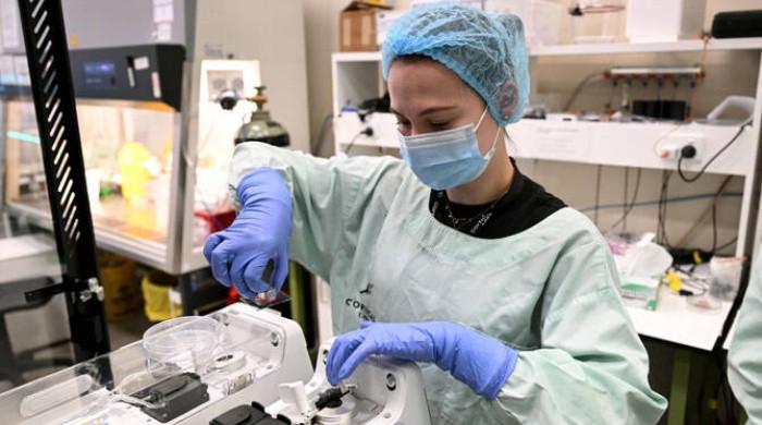 Australian researchers teach brain cells to play 'Doom'