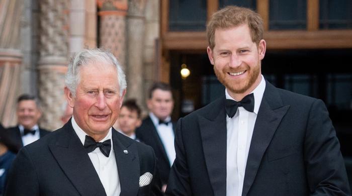 King Charles makes emotional 'final years' plan: 'He wants Harry back'