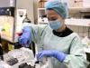 Australian researchers teach brain cells to play 'Doom'