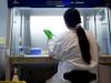 How a Pakistani woman is redefining cancer research in Pakistan