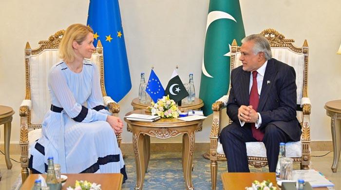 Pakistan helped avert full-blown US-Iran war, says EU top diplomat