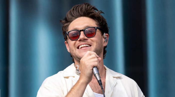 Niall Horan teases reunion plan with One Direction bandmates amid tour