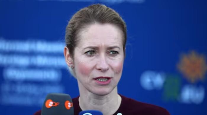 EU top diplomat hails Pakistan's mediation role, hopes for US-Iran 'first phase' deal