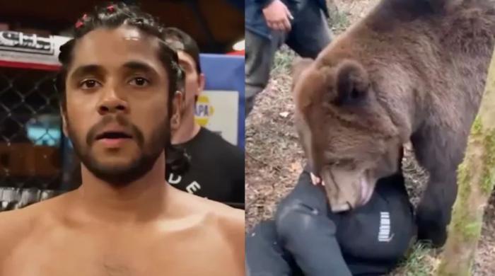 UFC fighter killed in bear attack while working at Canadian uranium site: See full details