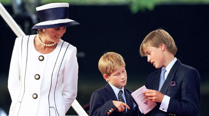 Princess Diana's emotional plea to William, Harry unveiled in secret letter