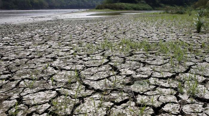 Hot weather hurts Asian crops as powerful El Nino takes shape