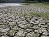 Hot weather hurts Asian crops as powerful El Nino takes shape