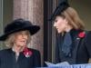 Queen Camilla, Princess Kate decline 'feud' report with warm Palace moment 