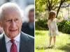 King Charles receives Princess Lilibet update from Montecito on 5th birthday