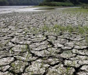 Hot weather hurts Asian crops as powerful El Nino takes shape