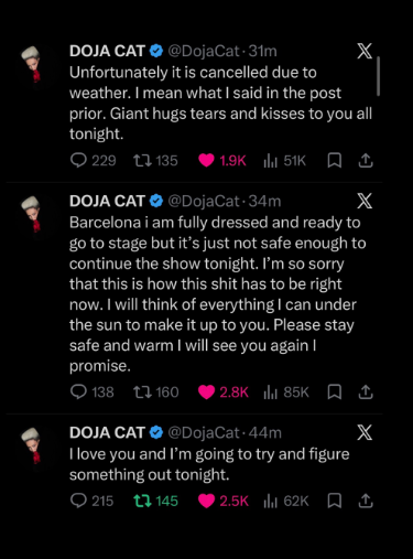 Doja Cat breaks silence after festival cancellation amid storm chaos