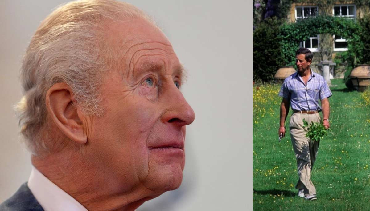King Charles' decades-old warning video released amid current crisis