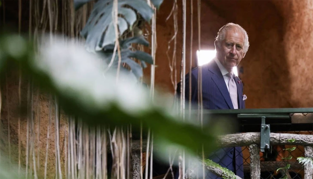 King Charles calls transition 'growth story of our time' in important message