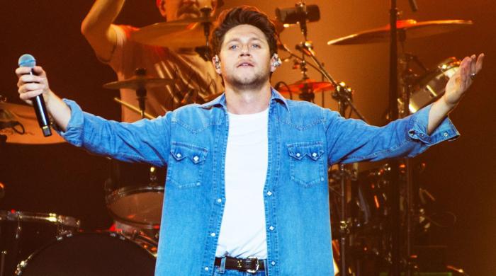Niall Horan thanks fans after latest dinner party: 'What a night!'