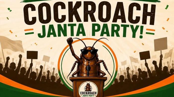 India's 'Cockroach Party' chief flies to New Delhi for protest