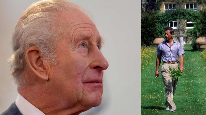 King Charles' decades-old warning video released amid current crisis