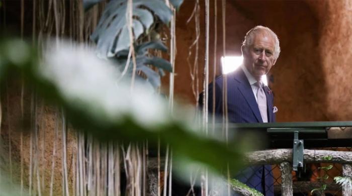 King Charles calls transition 'growth story of our time' in important message
