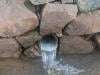 New Zealand capital flooded with faeces after wastewater failure
