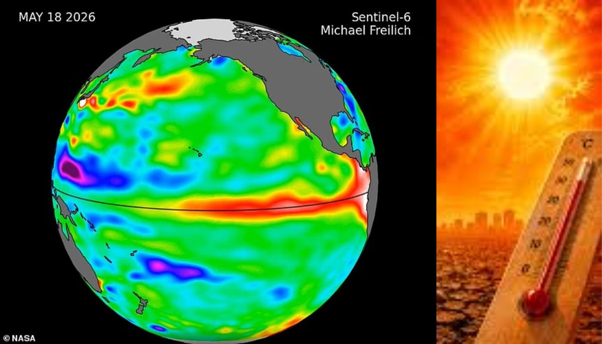 NASA warns Super El Nino is imminent: How to protect yourself