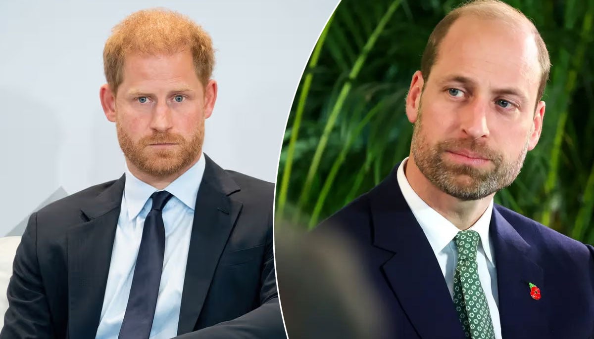 Prince Harry receives heartbreaking message from William amid estrangement