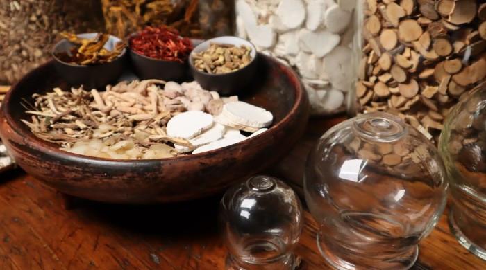 China, Pakistan deepen cooperation in traditional medicine