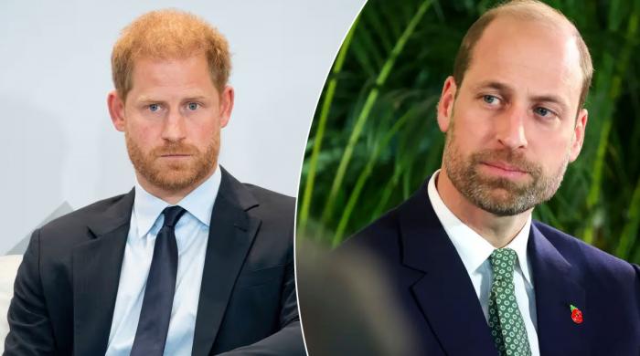 Prince Harry receives heartbreaking message from William amid estrangement