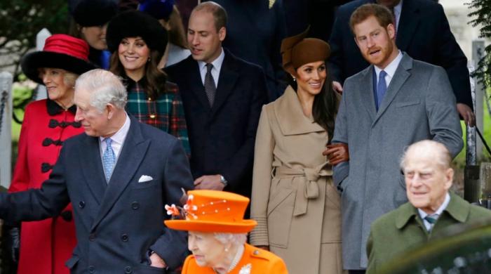 Prince Harry 'pushed' monarchy into crisis: Key royal lashed out
