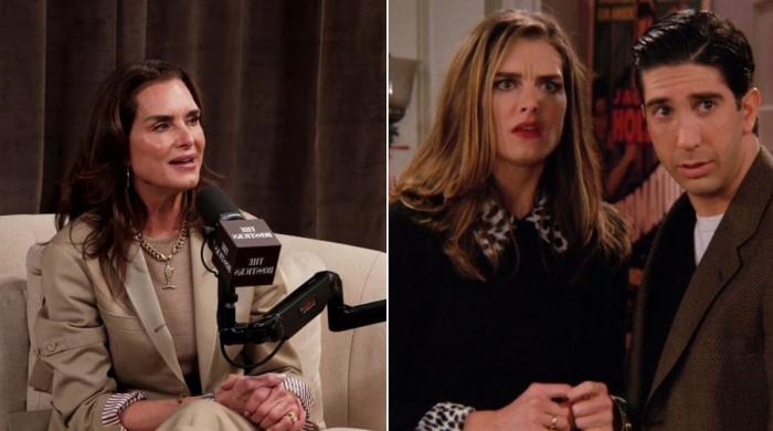 Brooke Shields looks back on her 'crazy' cameo on 'Friend'