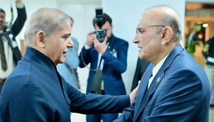 President Asif Ali Zardari (right) meets Prime Minister Shehbaz Sharif in Islamabad, on March 10, 2025. — X@GovtofPakistan