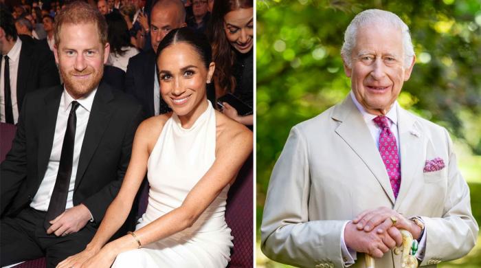 Meghan Markle delights Prince Harry with peace message for King Charles