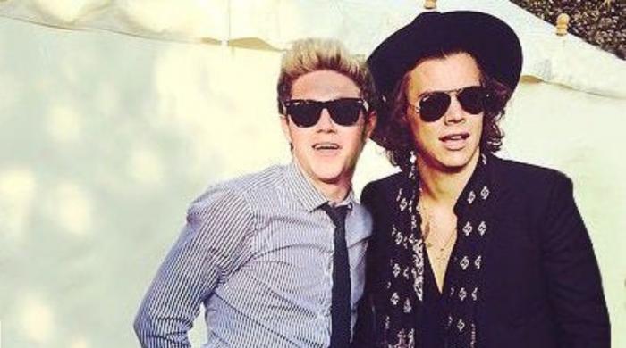 Niall Horan revives Directioners with sweet shout out to Harry Styles
