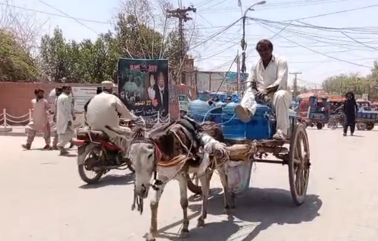 A labourer transports water containers on a donkey cart in Jacobabad on June 5, 2026. — Geo News