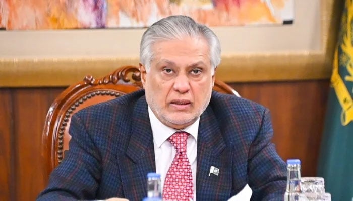 Deputy Prime Minister and Foreign Minister Senator Ishaq Dar virtually addresses Economic Cooperation Organisation (ECO) Council of Ministers (COM) meeting on November 28, 2025. — X/@ForeignOfficePk